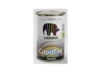 21071_CAPATINT